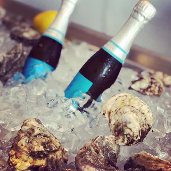 oysters