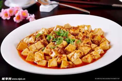 MaPo ToFu(with pork)麻婆豆腐
