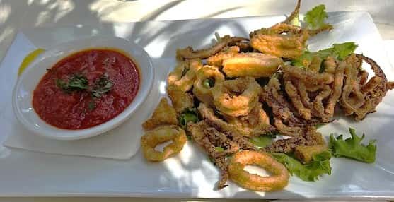 Fried Calamari