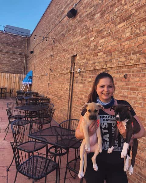 Puppies