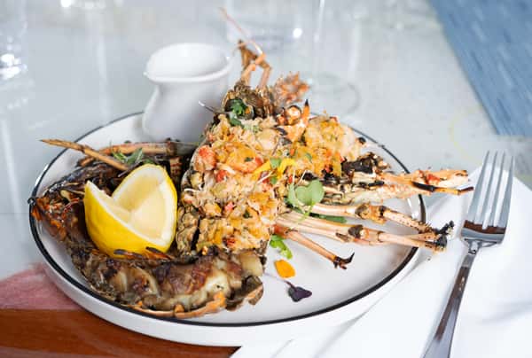 Grilled Spiny Lobster