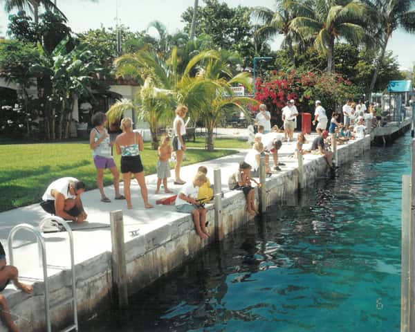 A lively waterfront scene with people fishing and enjoying the outdoors.