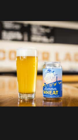 Summer Wheat
