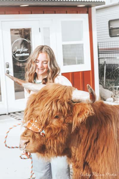 outside with an animal