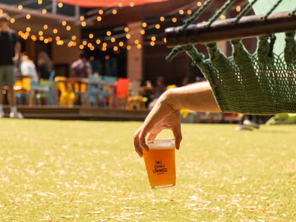 A hand holding a Crooked Hammock beer while lounging on a green hammock at a lively outdoor patio with string lights.