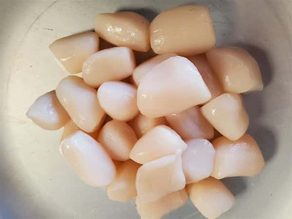 Bay Scallops
