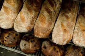 Rustic artisan bread loaves with crisp crust displayed on a bakery shelf