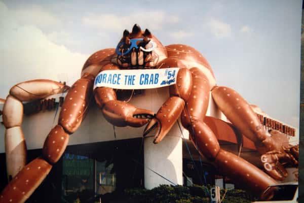 Horace the Crab