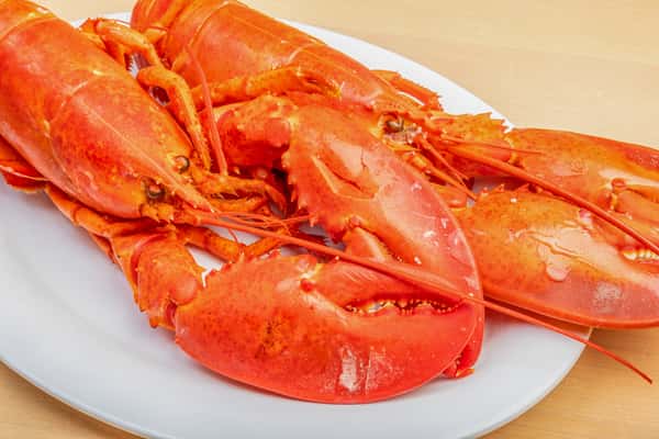 Whole Cooked Lobsters Case