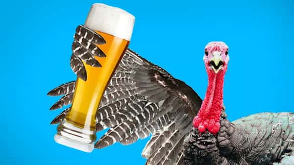 turkey