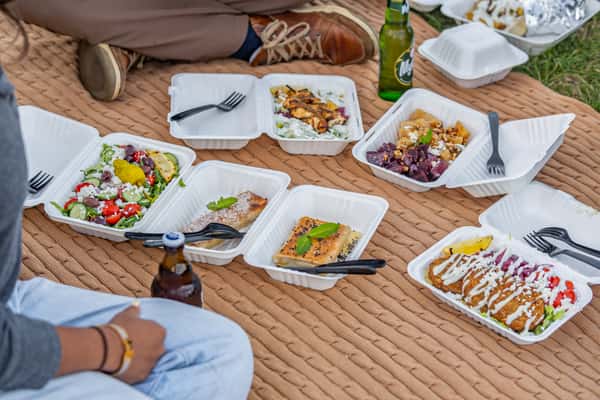 Picnic in Lincoln Park