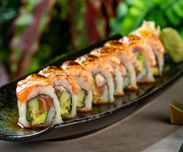 Sumo Salmon