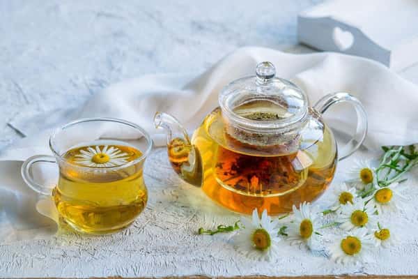 CHAMOMILE TEA POT