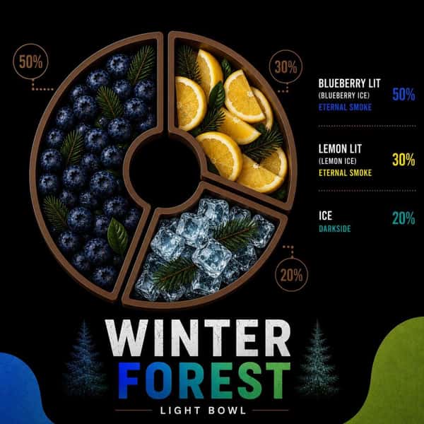 WINTER FOREST