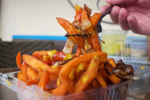 tech fries