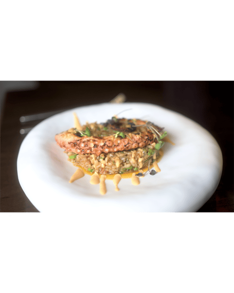 Grilled Spanish Octopus
