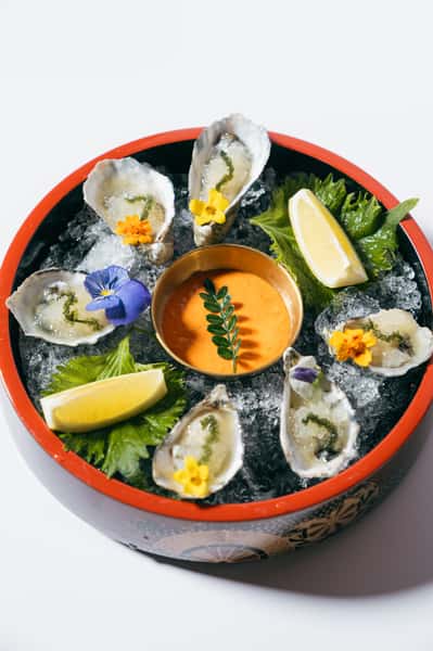 Daily Oysters