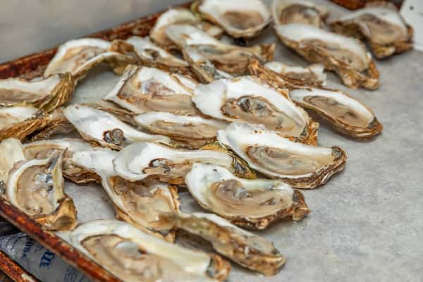 Oysters on the Half Shell*