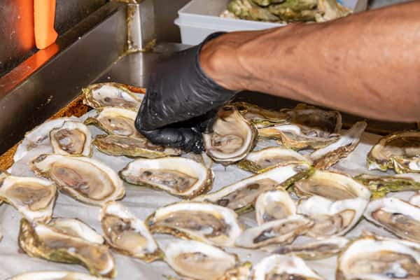 Oysters on the Half Shell*