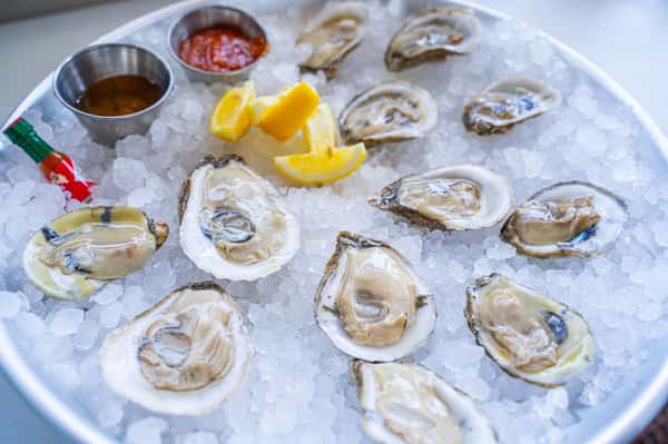 oysters