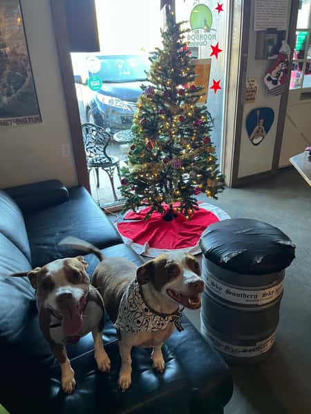 dogs