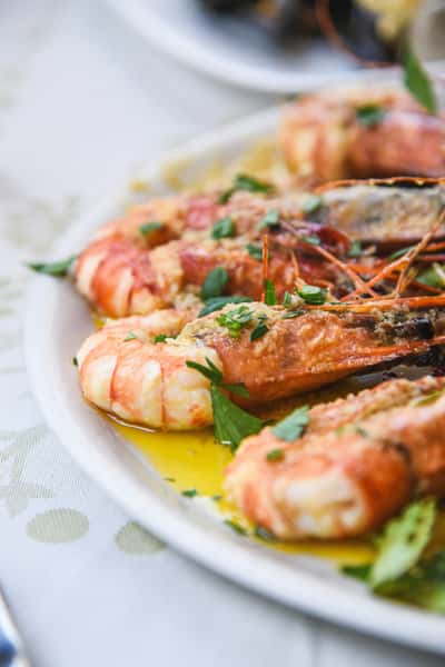 shrimp meal