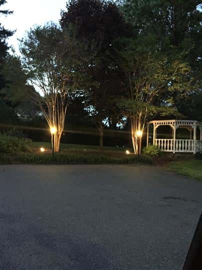 Outdoor area with lake