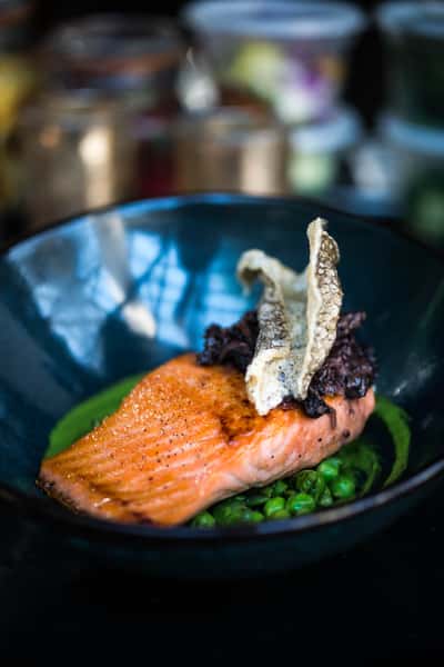 Salmon