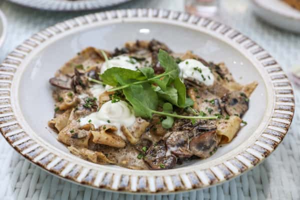 Mushroom Pappardelle