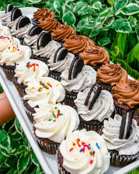 Tray of three rows of cupcakes
