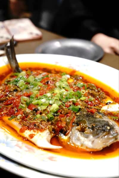 seabass