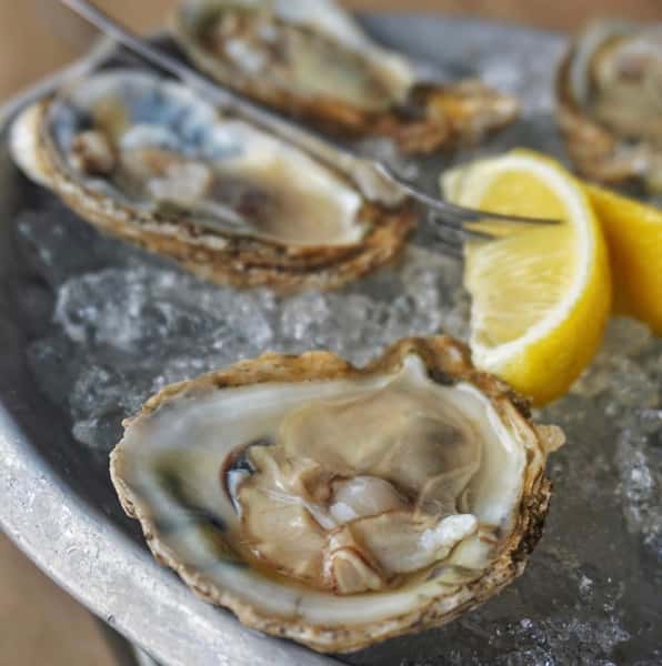 Blue Point Oysters