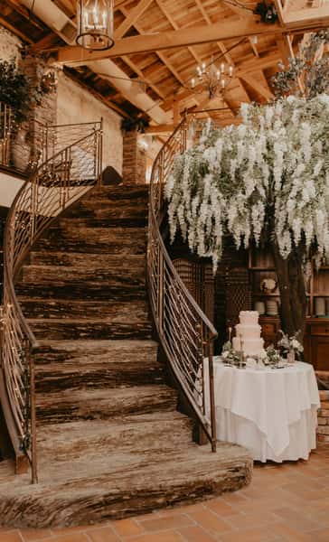 Beautiful Staircase, Tree and Cake