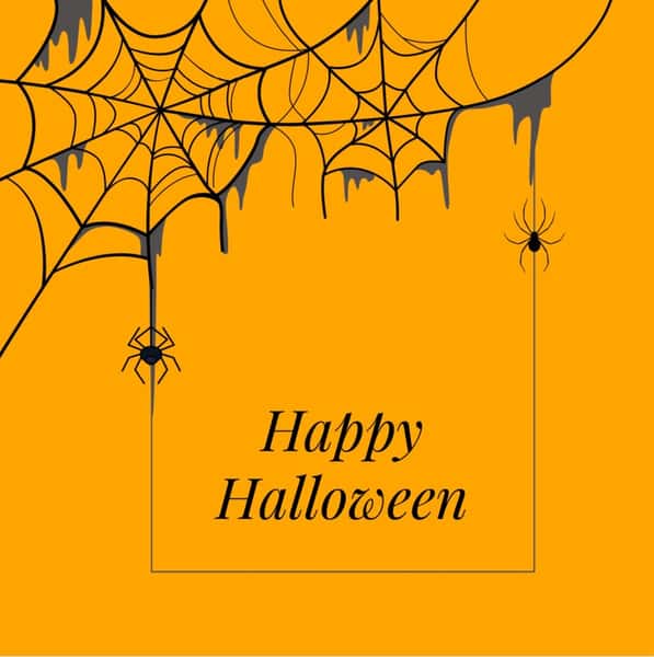 Halloween is almost here, and BarrelHouse is leaning all the way into the eerie energy 👻 A little moody, a little mischievous, and made for raising spirits in more ways than one. 🎃 Stay tuned and keep BarrelHouse on your weekend radar. #HalloweenVibes #BarrelHouse #SpookySeason