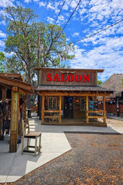 Saloon with Horns