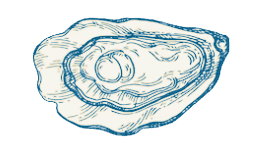 oyster
