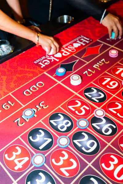 Interactive card gaming activity at The Kennedy