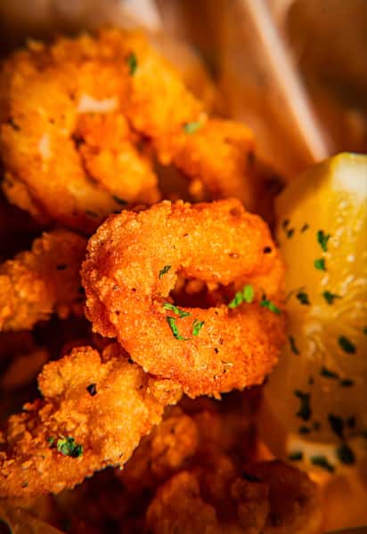 Calamari