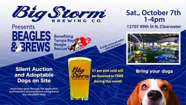 Beagles & Brews at Big Storm Clearwater Big Storm Brewing Co