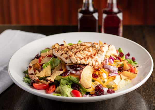 Grilled chicken salad with cheddar, cranberries, red onion, cherry tomatoes, and crispy apple chips in white bowl.