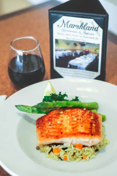 salmon