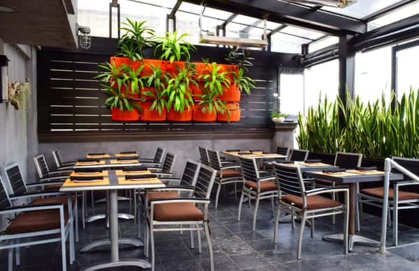 Stylish covered patio with sleek black tables, cushioned chairs, and lush vertical greenery — a contemporary outdoor dining space perfect for relaxed meals in a fresh, inviting atmosphere.