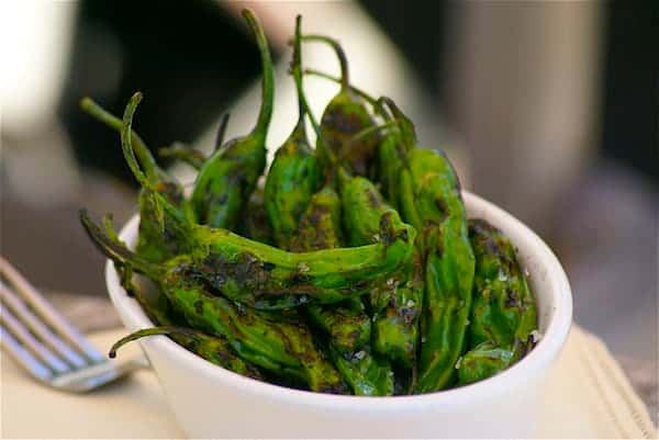 Charred blistered shishito peppers finished with flaky sea salt — a smoky, savory appetizer or shareable snack perfect for craft cocktail pairings and small plates menus.