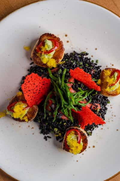 Seared Scallops