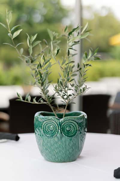 Bistango's Botanical Garden Fine Patio Dining