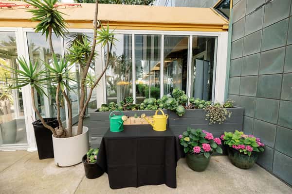 Bistango's Botanical Garden Fine Patio Dining