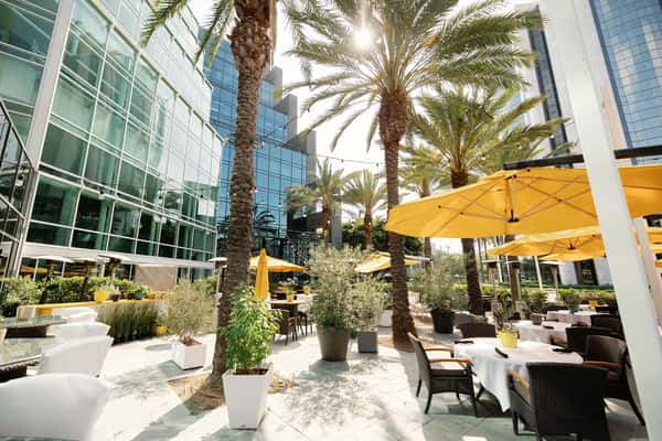 Bistango's Botanical Garden Fine Patio Dining