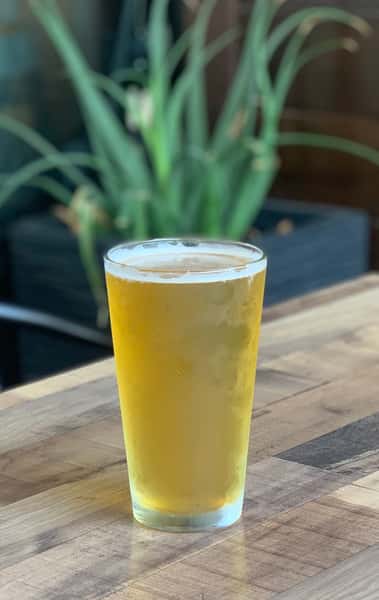 Our Beers on Tap through Untappd.