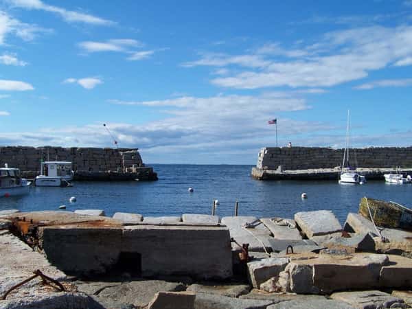 Scenic Lanesville - Cove Cafe - Cafe in Gloucester, MA