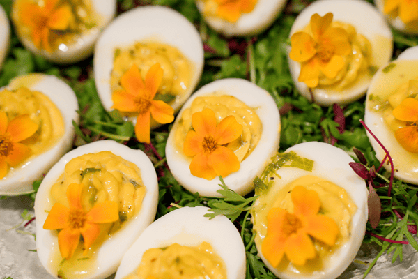 eggs